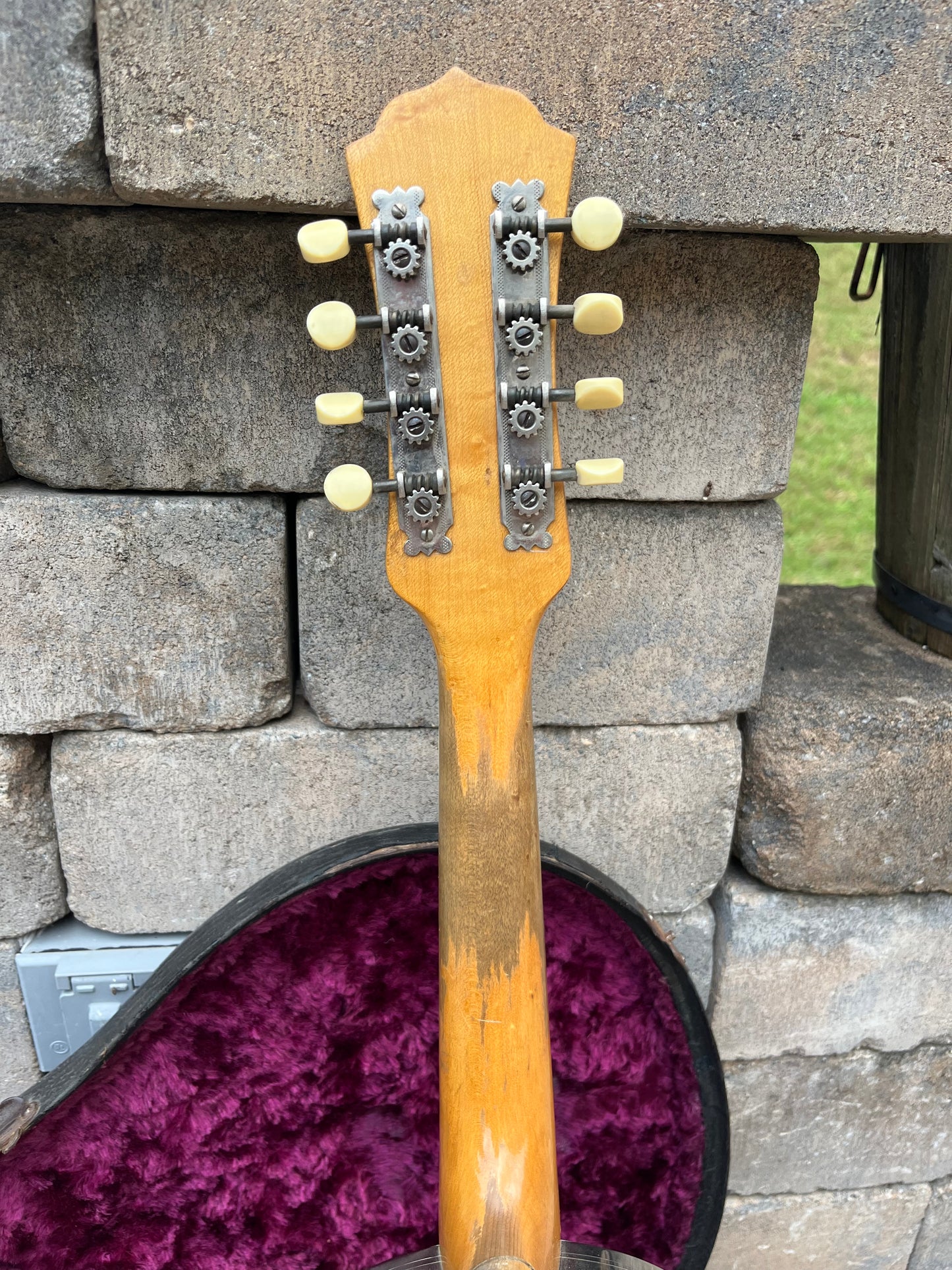 Vintage National Mandolin Style 3 1937 “Lilys of the Valley”