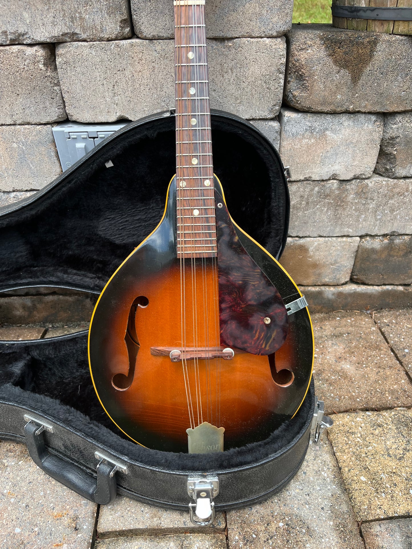 Vintage 1969 Gibson A-40 Mandolin