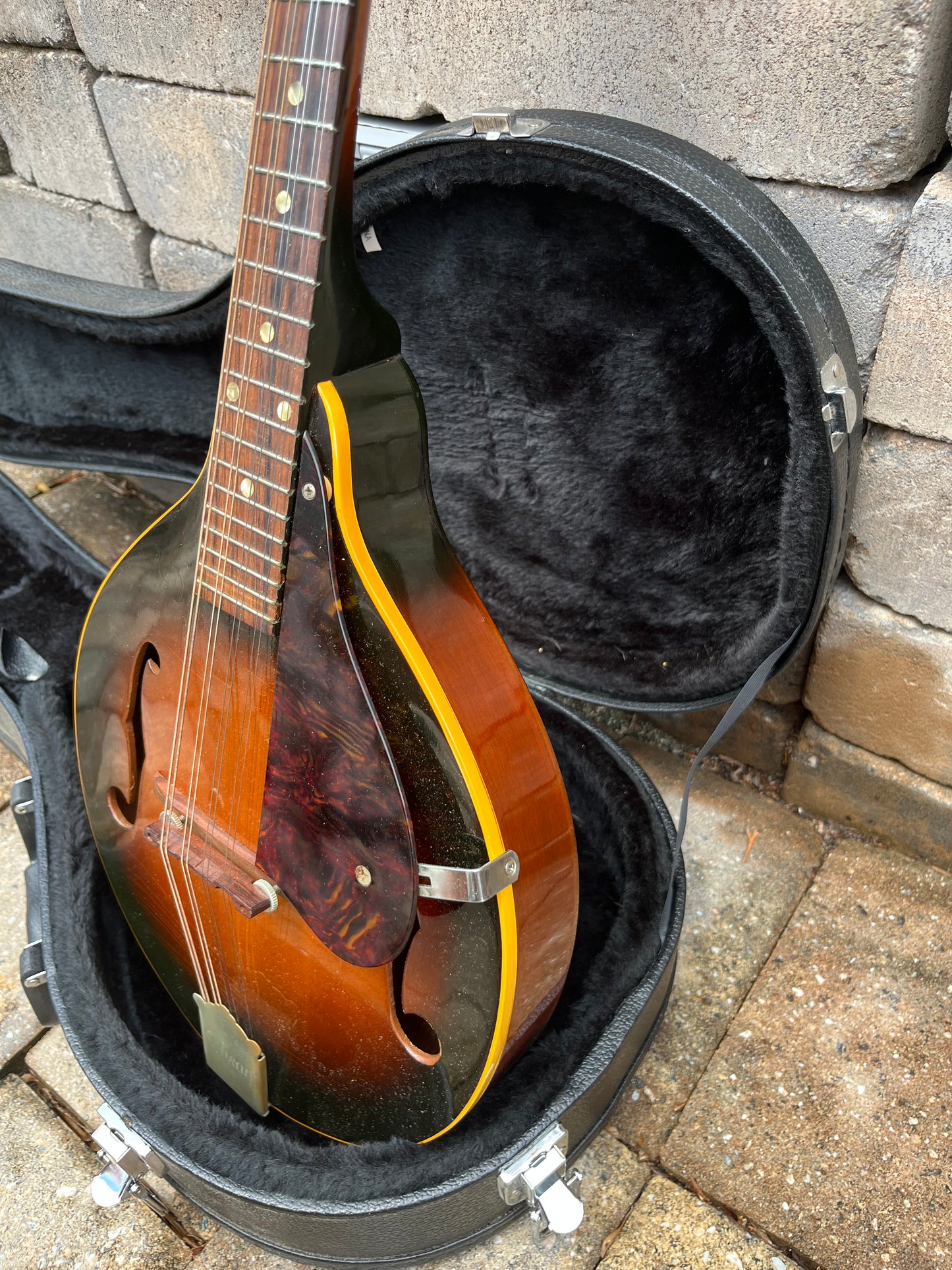 Vintage 1969 Gibson A-40 Mandolin