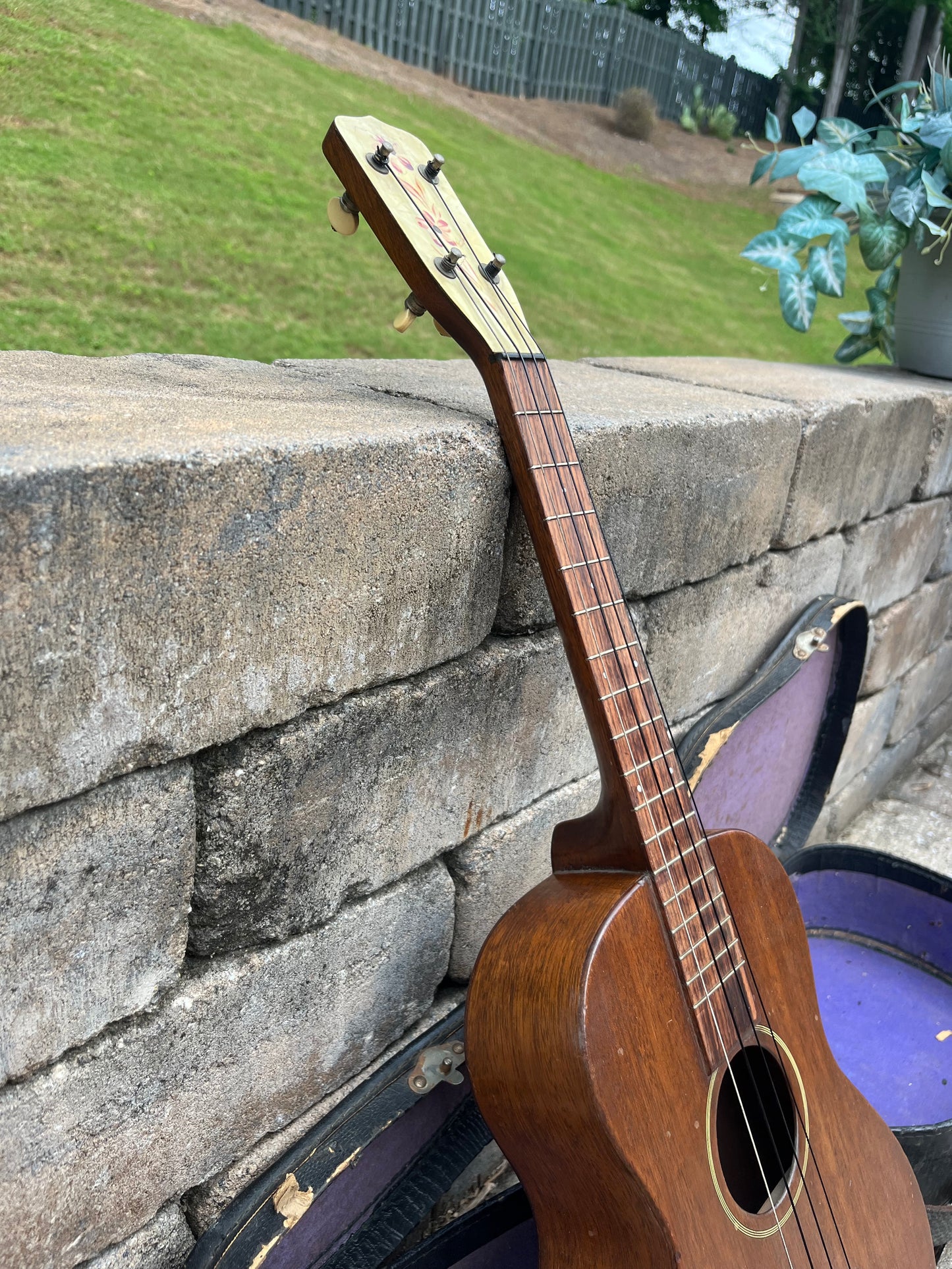 Vintage Gretsch Tenor Late 1920’s Ukulele