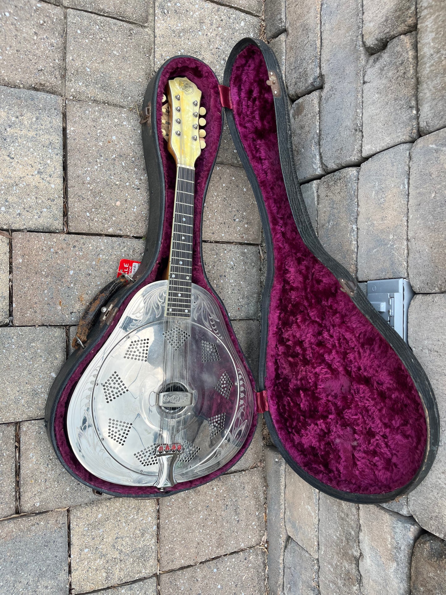 Vintage National Mandolin Style 3 1937 “Lilys of the Valley”
