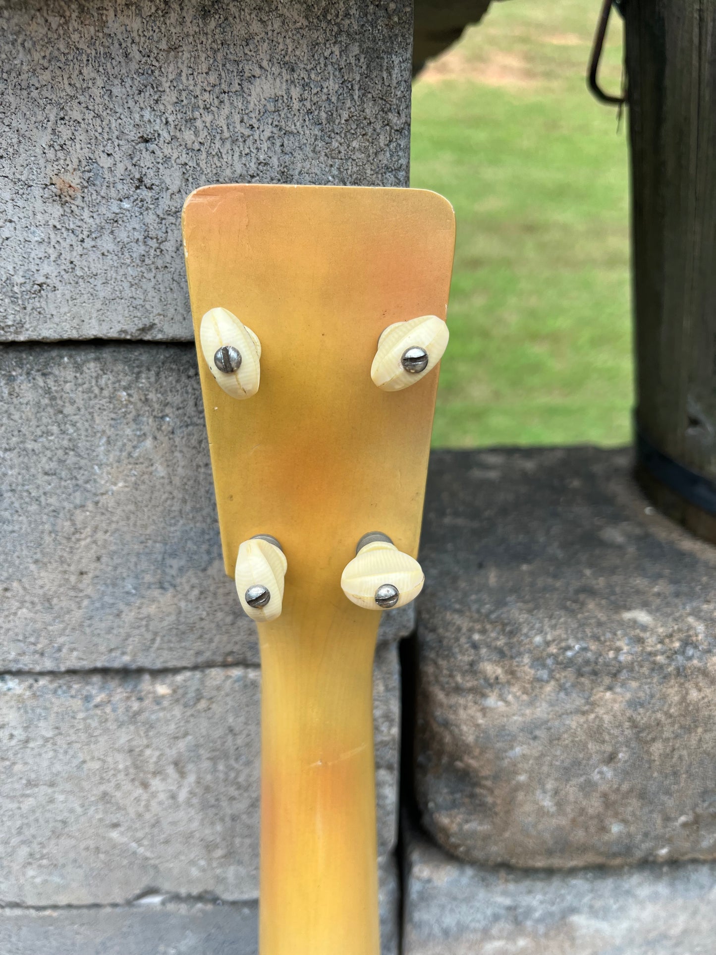 Vintage National Tenor Triolin Ukulele