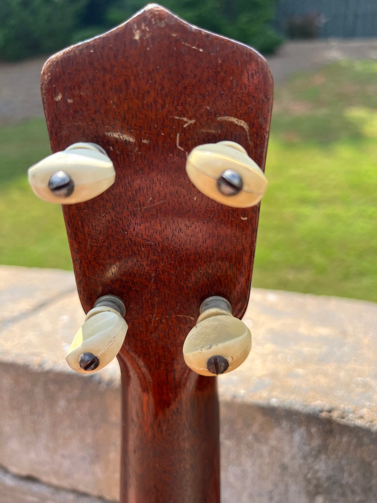 Vintage Gibson TU Tenor Ukulele