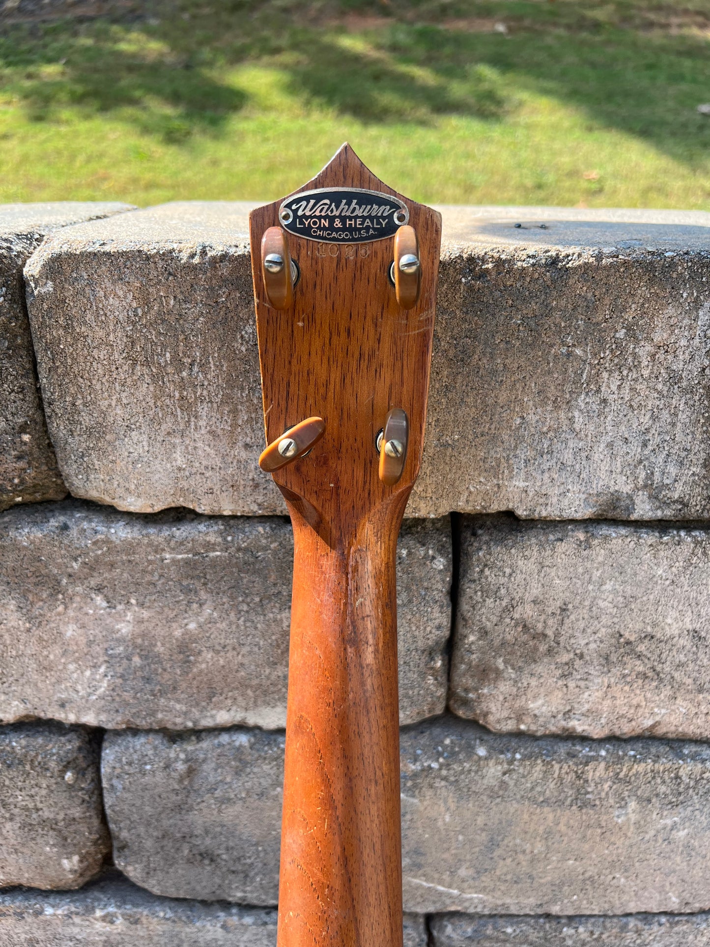 Vintage 1930’s Washburn by Lyon & Healy Shilners Ukulele Rare