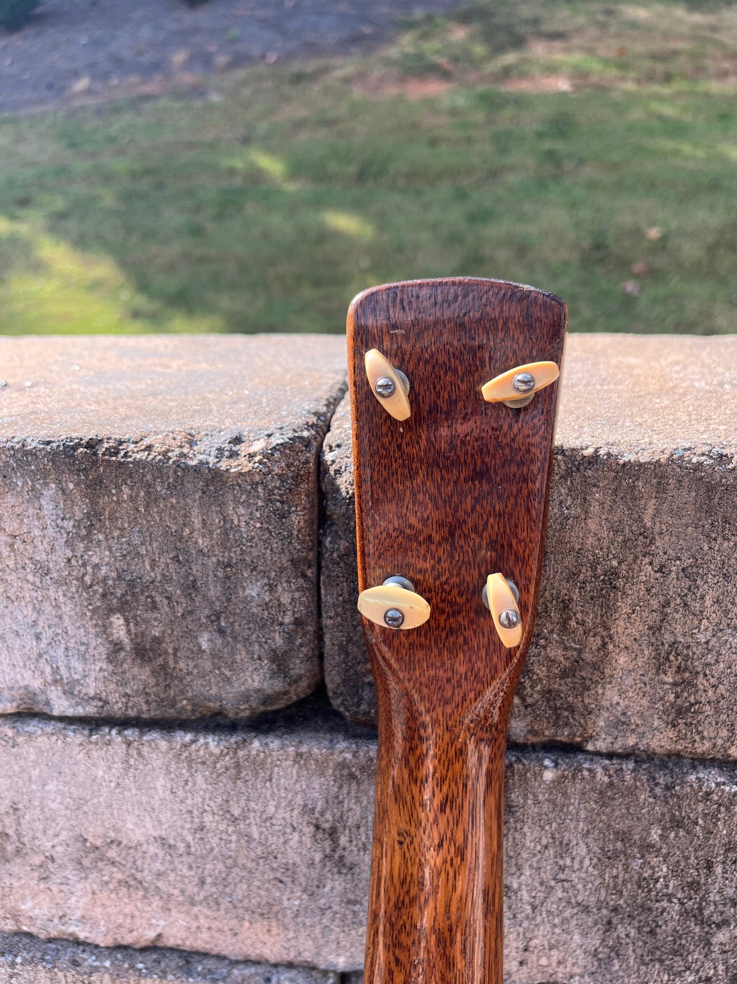 Vintage Harmony Vita Roy Smeck Ukulele