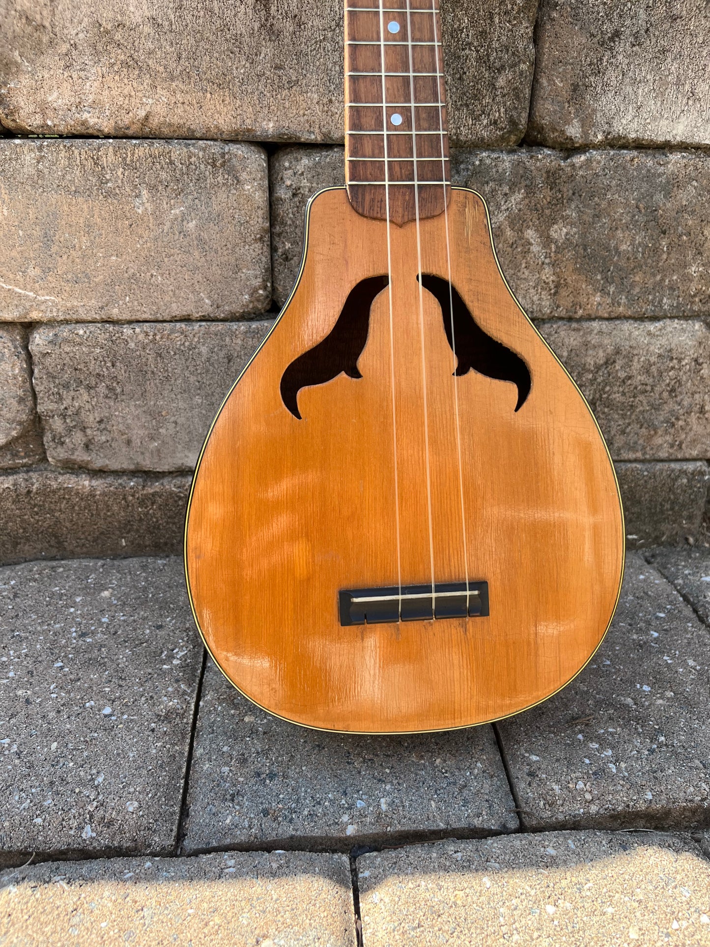 Vintage Harmony Vita Roy Smeck Ukulele