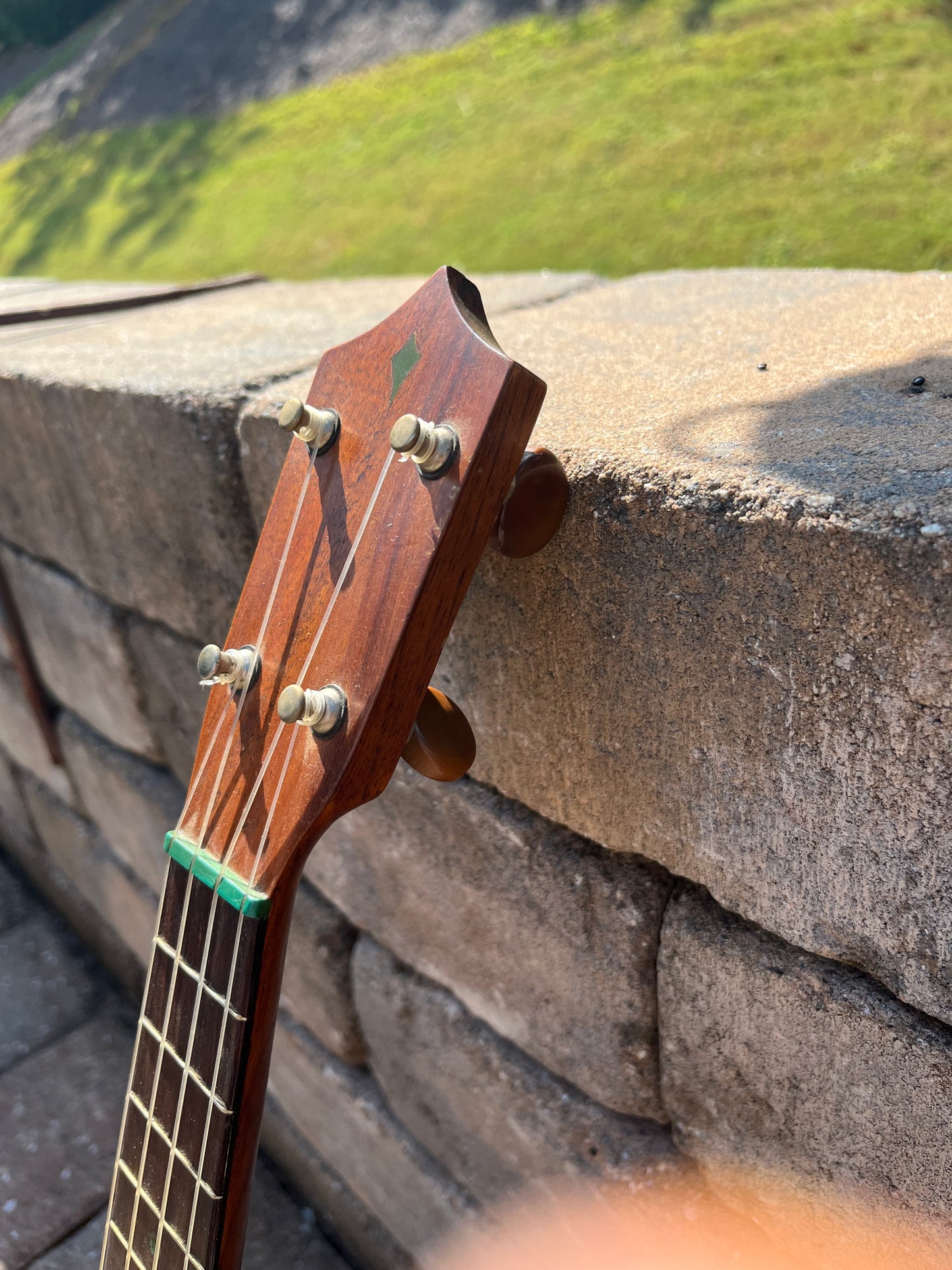 Vintage 1930’s Washburn by Lyon & Healy Shilners Ukulele Rare