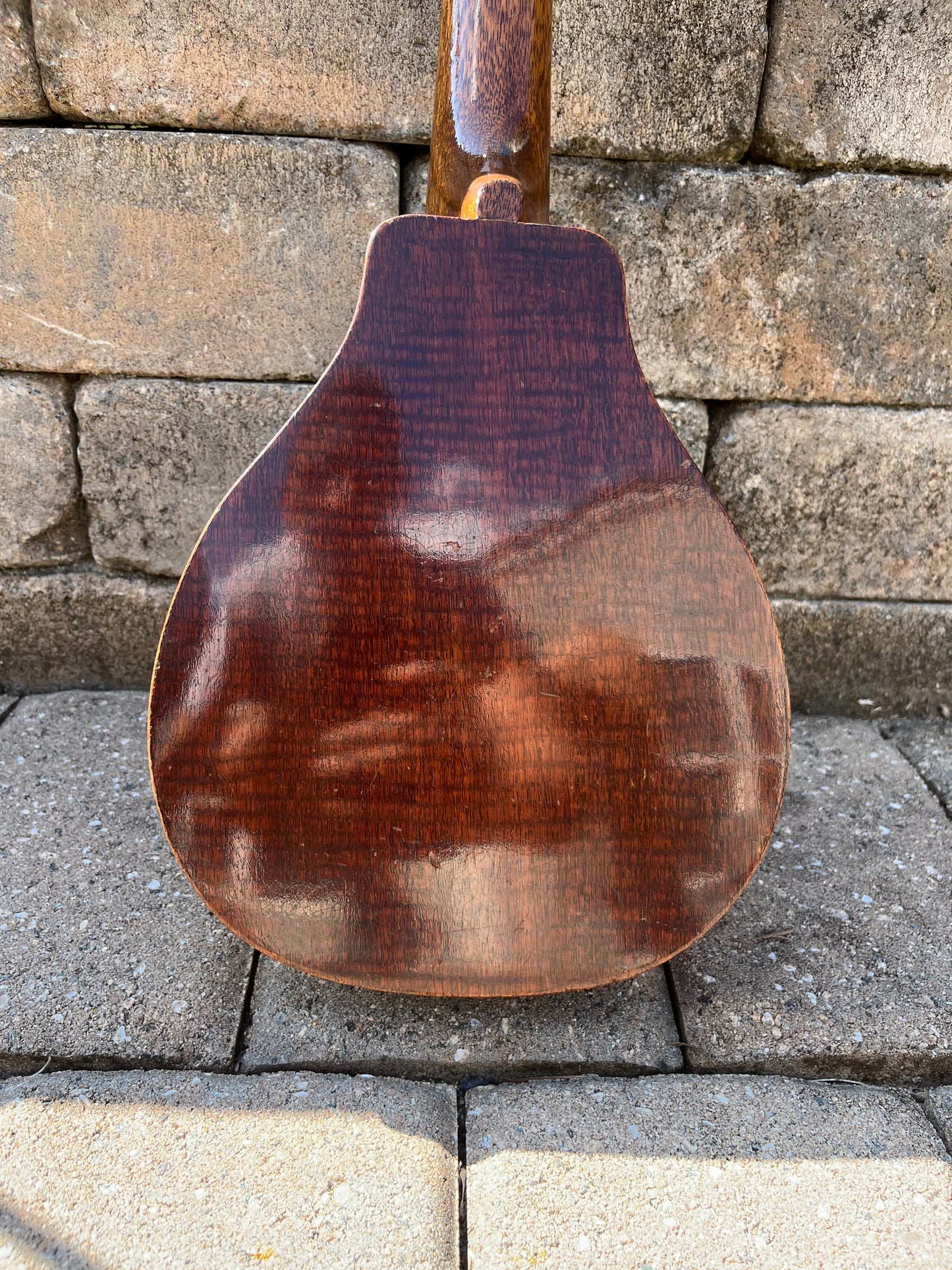 Vintage Harmony Vita Roy Smeck Ukulele