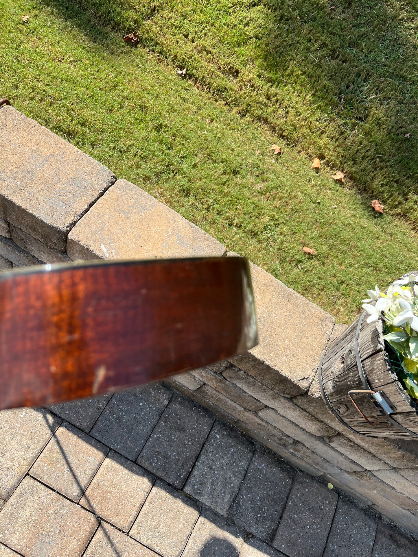 Vintage Harmony Vita Roy Smeck Ukulele