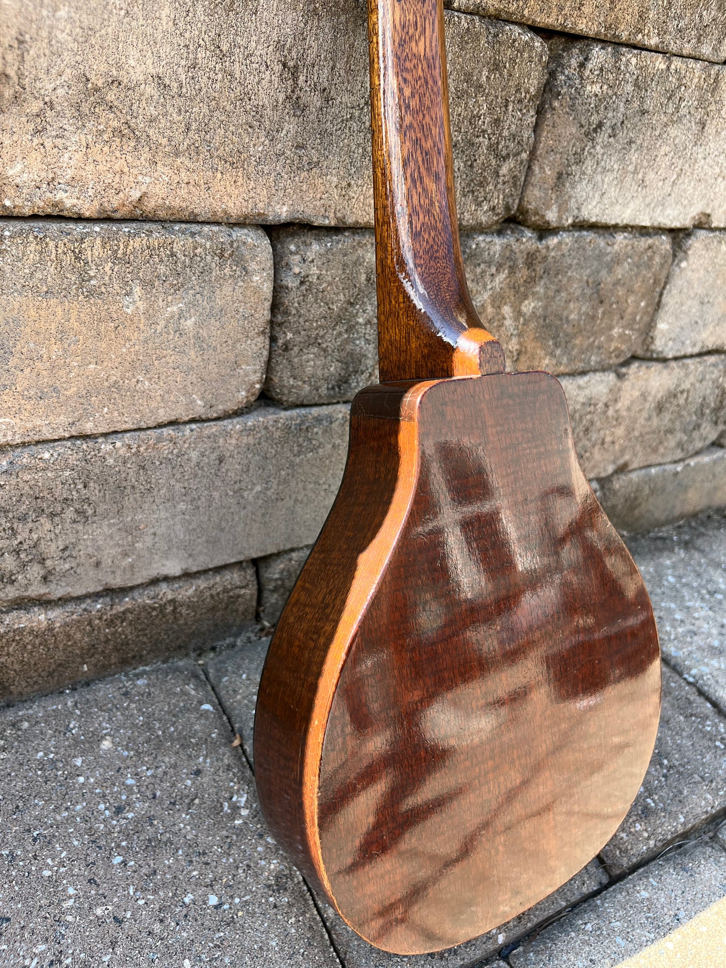 Vintage Harmony Vita Roy Smeck Ukulele