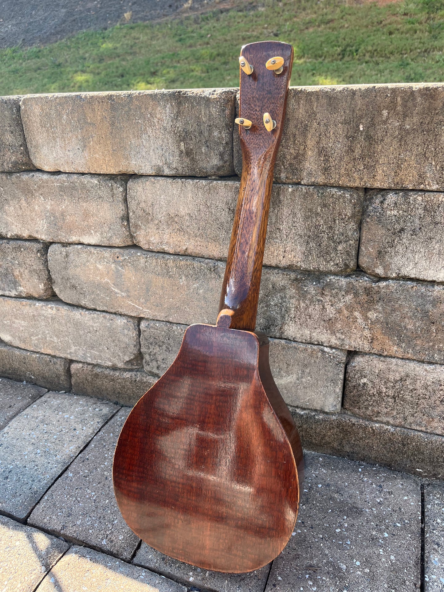 Vintage Harmony Vita Roy Smeck Ukulele