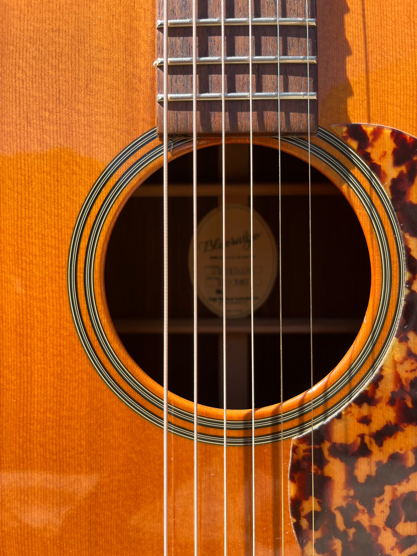 2005 Blue Ridge BR 160 Acoustic Guitar