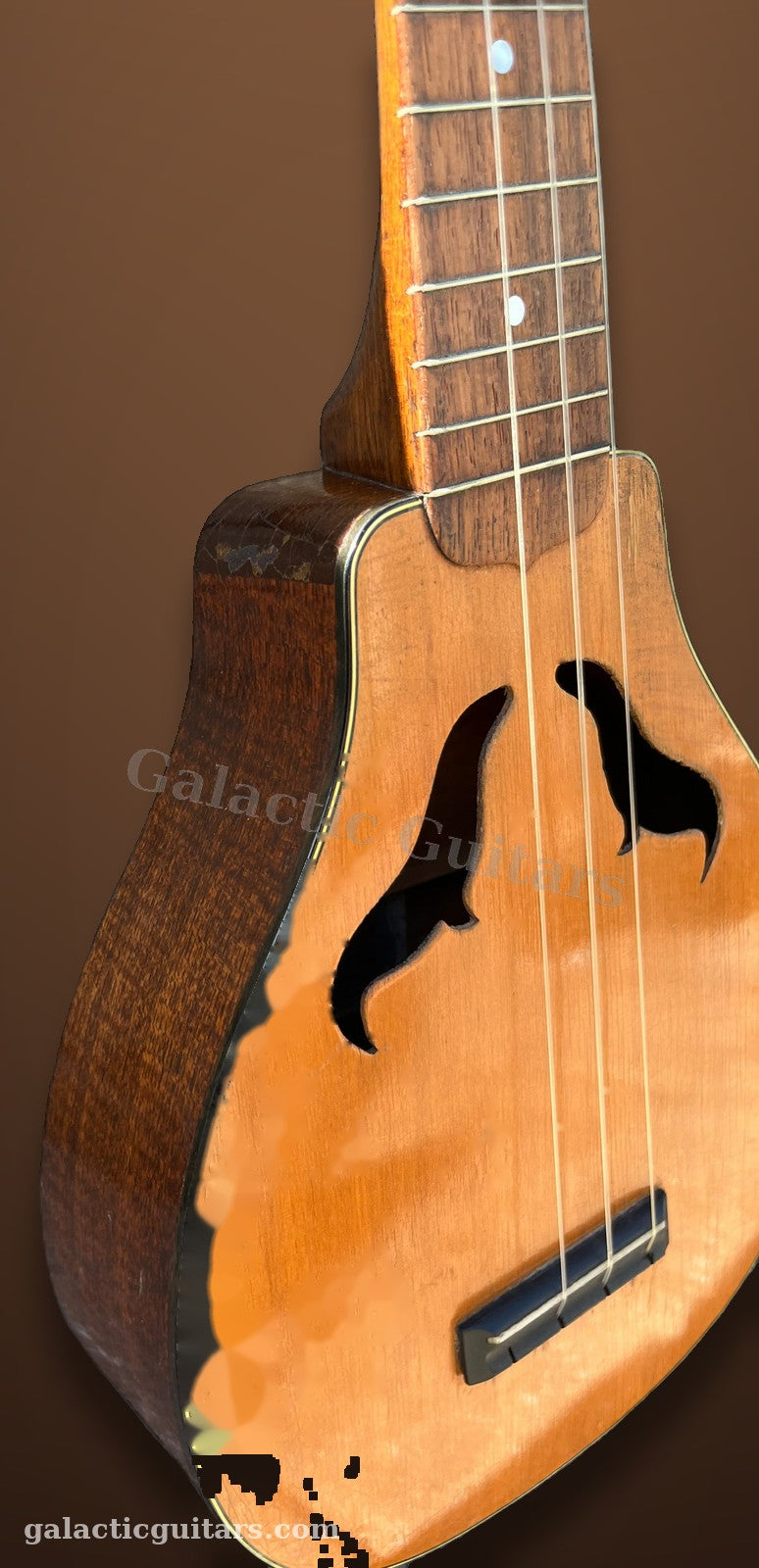 Vintage Harmony Vita Roy Smeck Ukulele